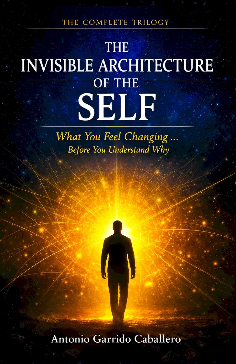 The Invisible Architecture of the Self: What you feel changing...before you understand why