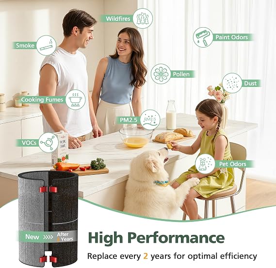 BP03 BP04 BP06 Activated Carbon Filter Compatible with Dyson Purifier Big + Quiet, For Models BP03, BP04, BP06, High-Efficient Carbon Filter for Smoke, Pet Odors, Wildfire, VOCs, Park# 972133-02/03