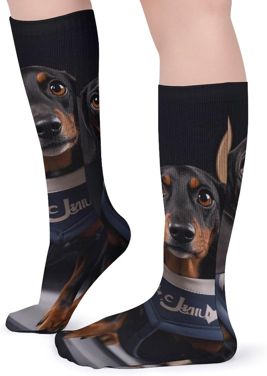 5 Pairs Knee High Socks Dachshund Dog Long Tube Boot Seamless Toe
