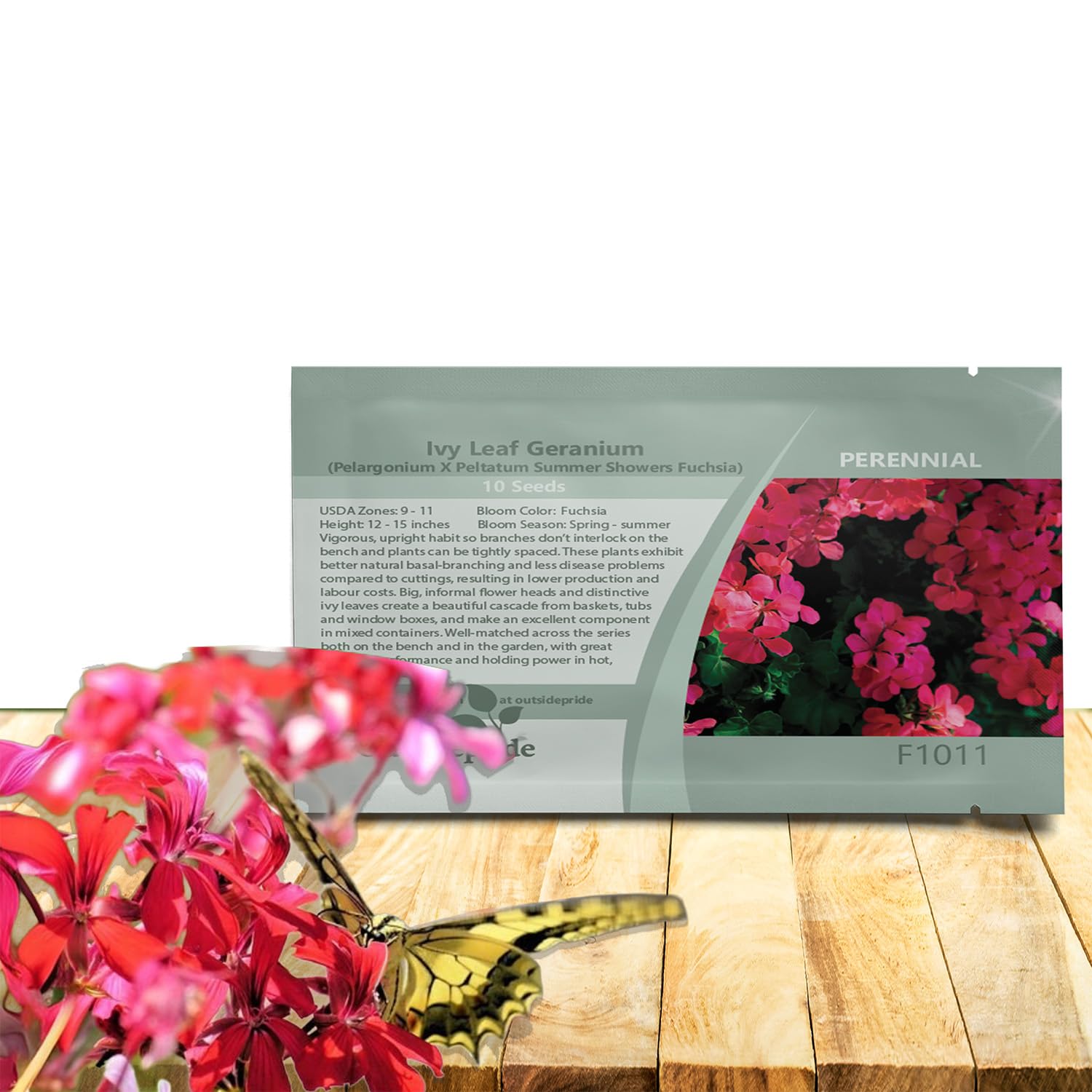Amazon.com : Outsidepride Fuchsia Ivy Leaf Geranium Seeds for Planting - 20  Pcs Perennial, Heat & Drought Tolerant Flower Seeds with Green Foliage &  Fuchsia Blooms for Pots, Borders & Lush Summer