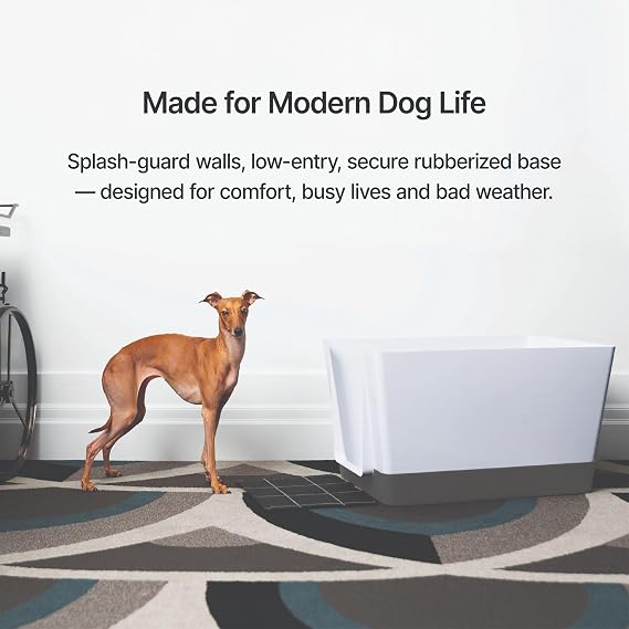 Doggy Bathroom Indoor Dog Potty with High Walls for Small Dogs (Regular, Dark Grey)