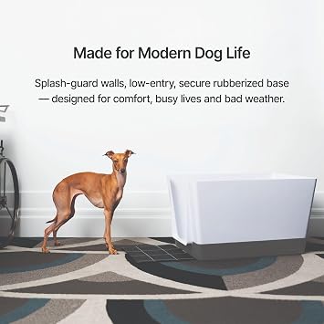 Doggy Bathroom Indoor Dog Potty with High Walls for Small Dogs (Regular, Dark Grey)