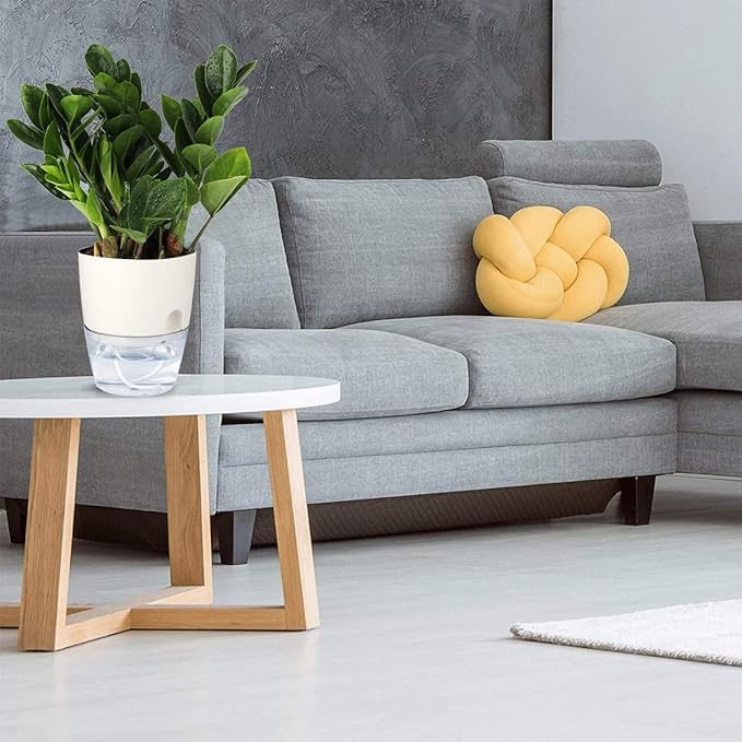 The white color of the pots adds a clean and modern touch to any indoor space, enhancing the overall aesthetic of your plant display. The 6 inch size is ideal for medium-sized plants, making them perfect for a variety of indoor plants beyond African Violets. These self-watering pots are low-maintenance and help to ensure consistent moisture levels for your plants, promoting healthy growth and vibrant blooms.