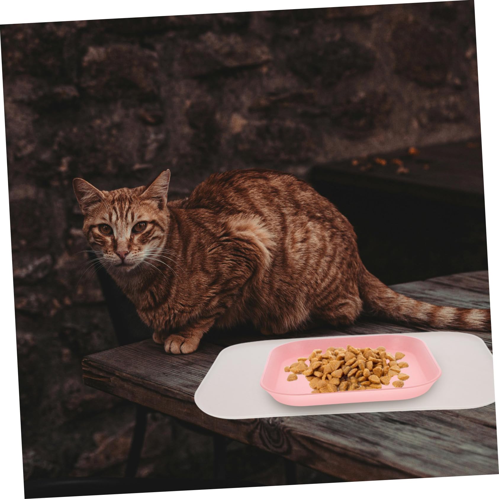 Supvox 4stücke Pet Feeding Mat Mit Erhöhtem Wasserdichtem Praktische Futtermatte Für Katzen Und Hunde Für Fressnäpfe Leicht Zu Reinigen Kleine
