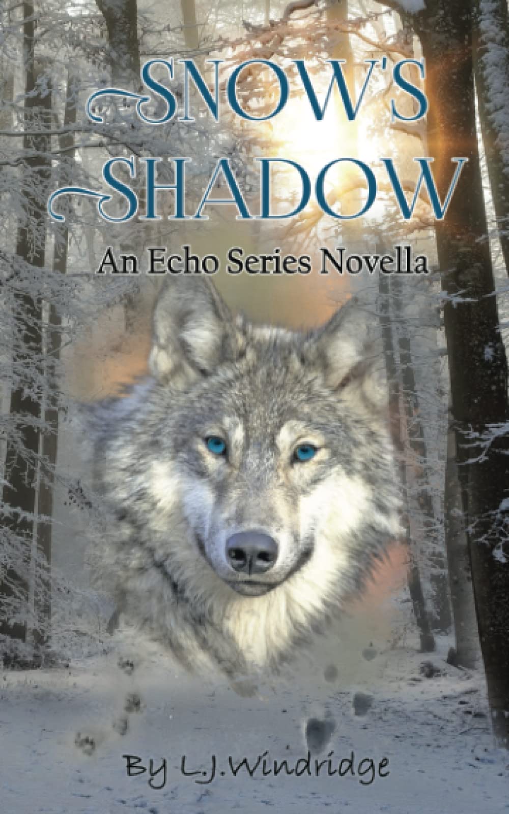 Snow's Shadow
