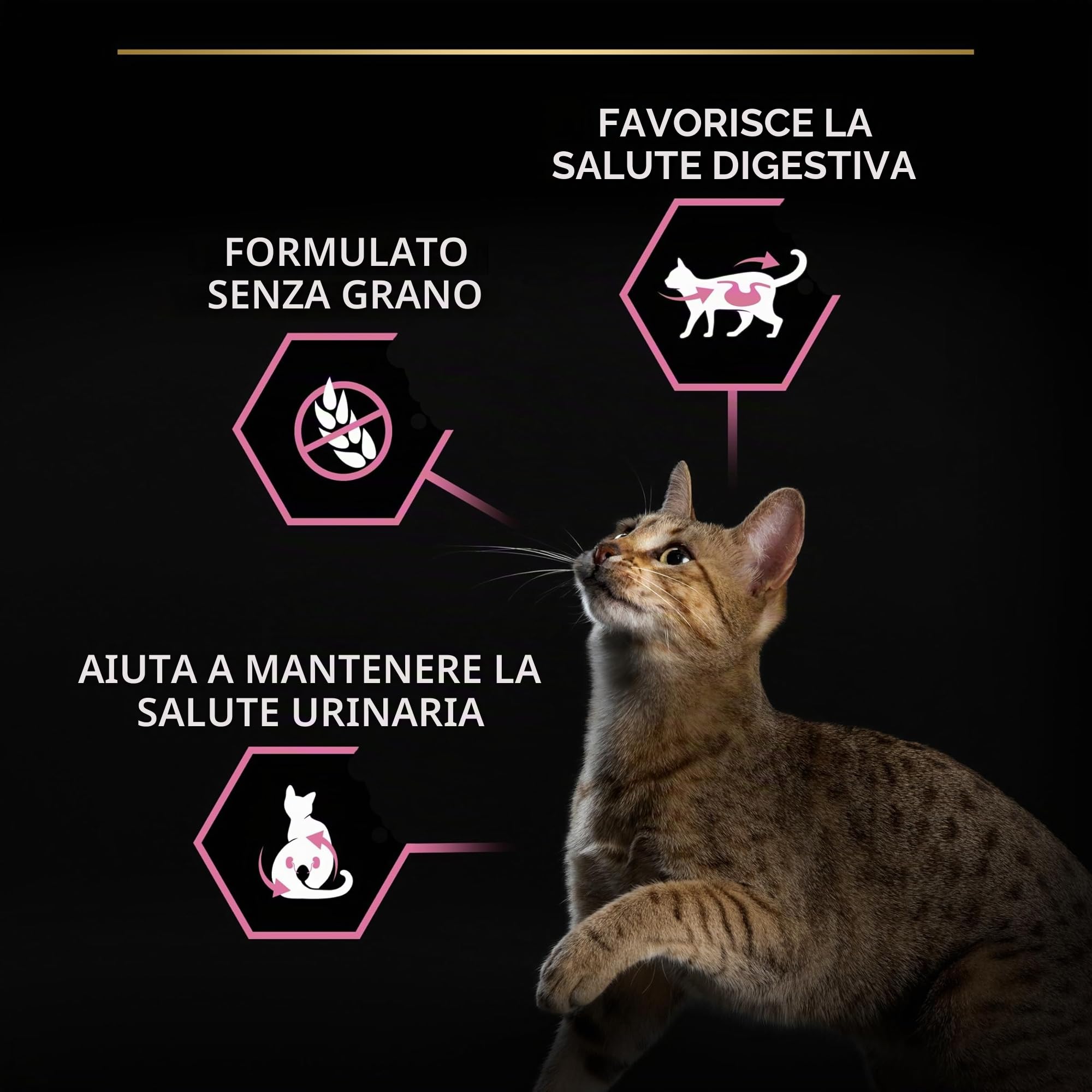 Purina Pro Plan Sterilised Delicate Digestion Crocchette Gatti Adulti Ricco in Pollo 3kg