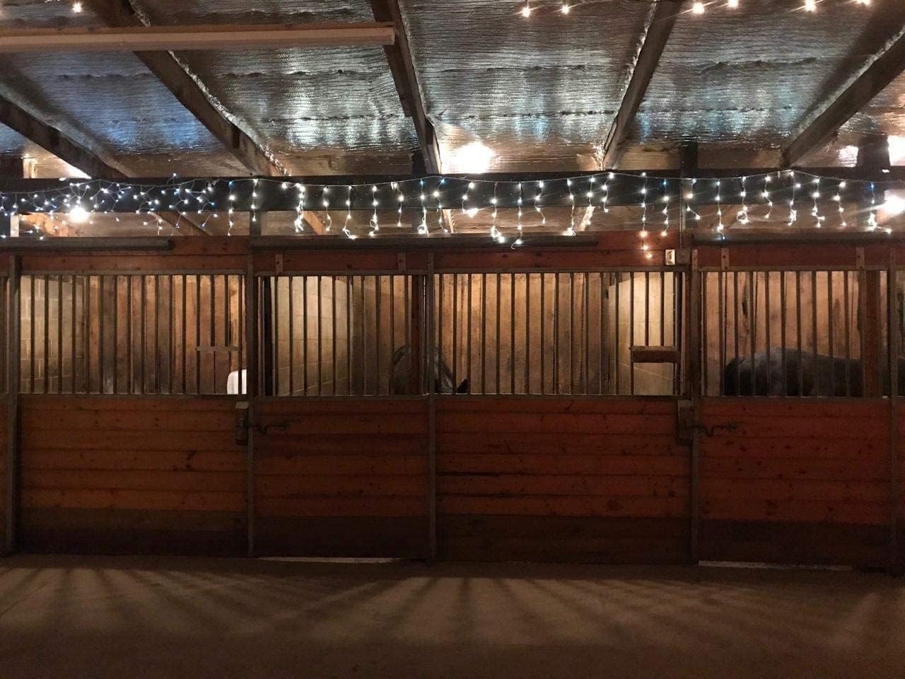 US Energy Products Double Sided Reflective Heat Radiant Barrier Aluminum Foil Insulation (1/4 Thick R8 Double Poly-Air) Roll: Walls Attics Air Ducts Windows Radiators HVAC Garages + More (36" x 50')