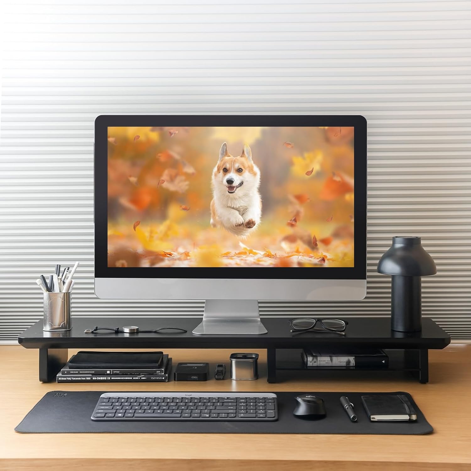 https://m.media-amazon.com/images/I/71VifUU-TEL._AC_SL1500_.jpg