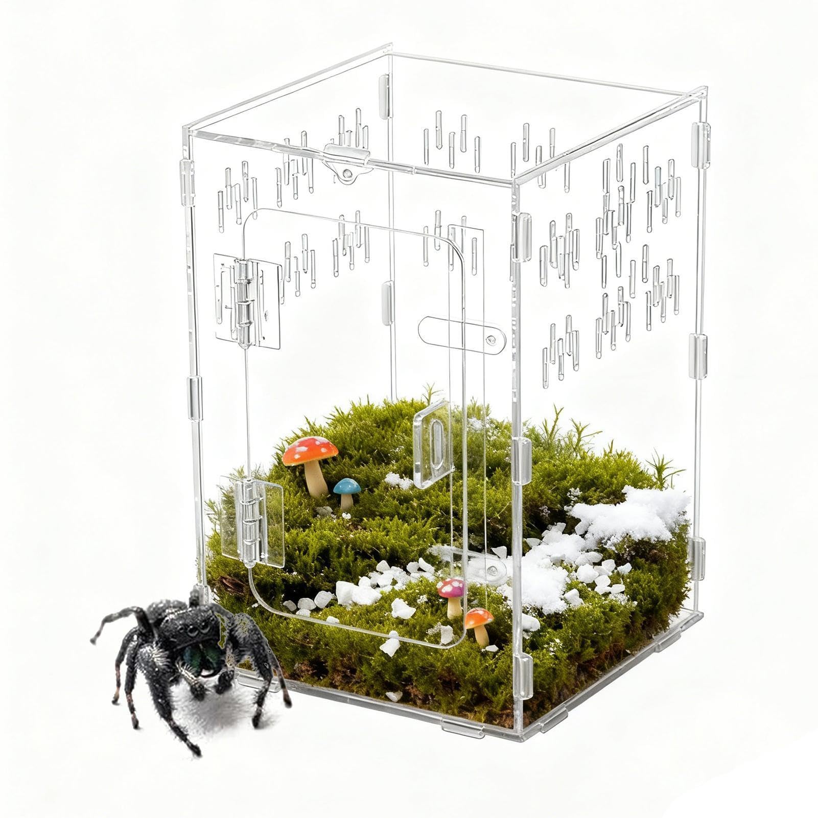 Terrarium dla pająków skoczków przezroczysta strefa wspinaczkowa