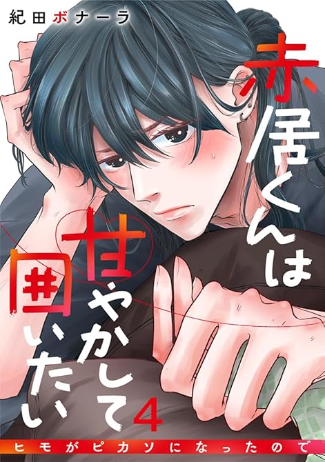 『赤居くんは甘やかして囲いたい～ヒモがピカソになったので～ 4巻』の表紙イラスト 電子書籍 漫画