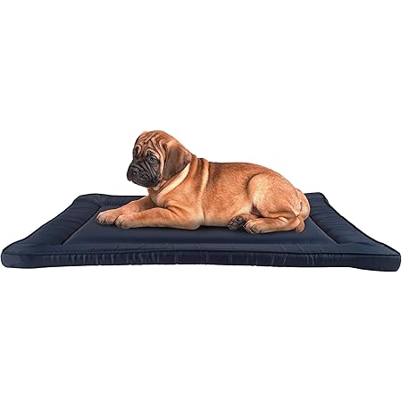 dog crate mats amazon