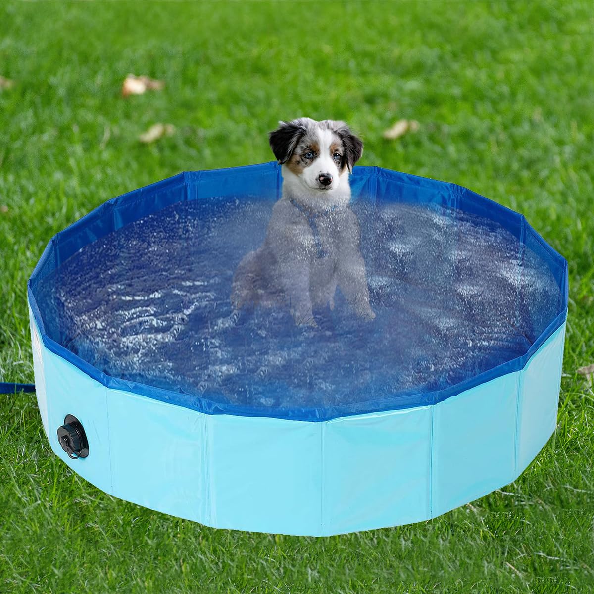 Piscine pour Chien, Piscine Pliable, Baignoire Chien, Bassin Grande Taille Animaux, Peut Être Utilisé comme Pataugeoire pour Chats Animaux, 100 x 30CM