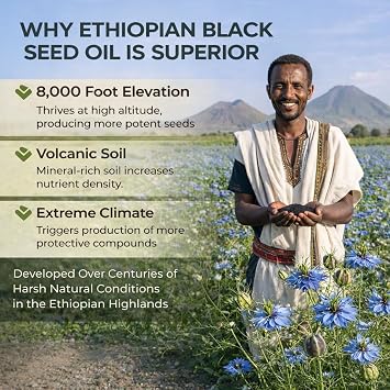 Ethiopian Black Seed Oil Capsules, Organic Cold Pressed Black Cumin Seed Oil with 4.64% Thymoquinone, Non-GMO, Gluten-Free, 60 Softgels