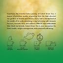 Celest Green Tea - Ginger, Mint & Lemon - 100 Bags | Green Tea Bags 100 Pcs gallery image