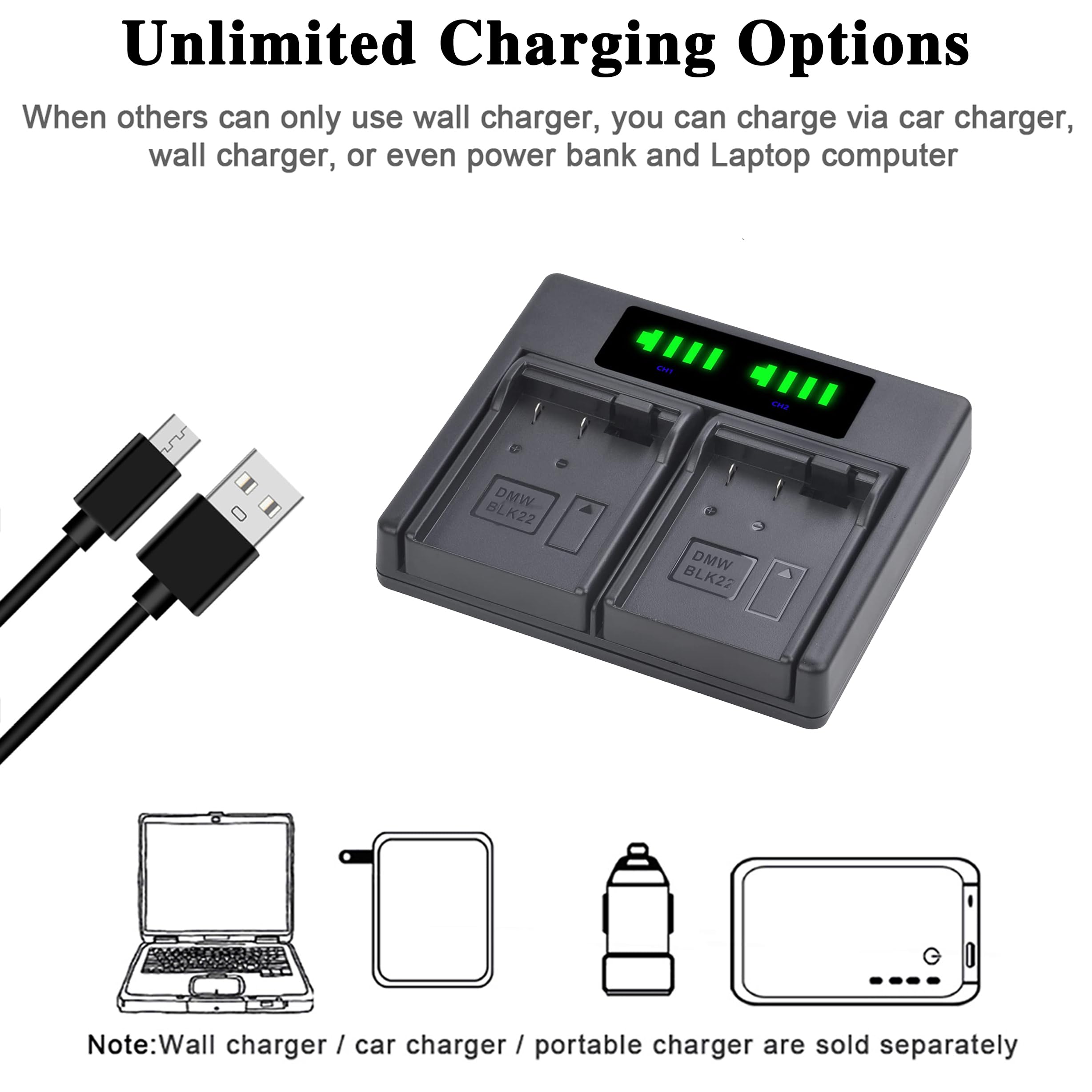 Amazon.com : Batmax 2Pcs 2280mAh DMW-BLK22 Battery + LED Dual USB