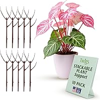Vista 19 de Estacas apilables de soporte para plantas Monstera, soporte de escalada para uso en interiores y exteriores, accesorios para plantas, alternativa