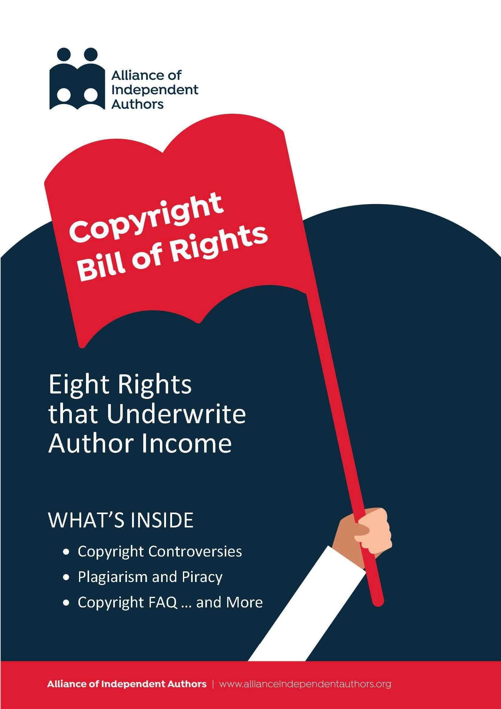 Buy Copyright Bill of Rights: Eight Fundamental Rights for the Global ...