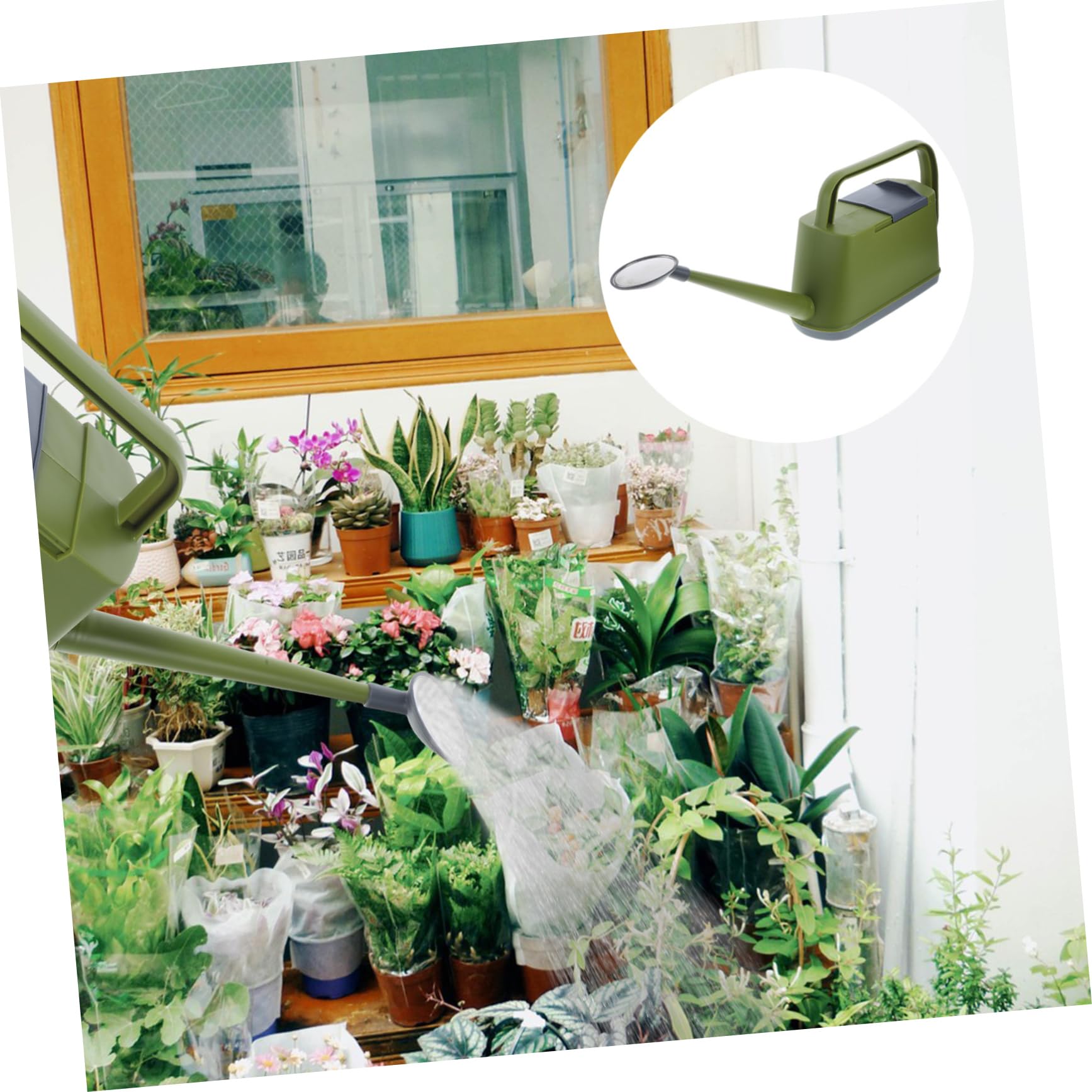 Annaffiatoio 4l in Pp Verde Maneggevole, da Giardino per Piante