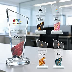 Amazon.com: SHIP NEXT DAY, Custom Award Trophy - Personalized with ...