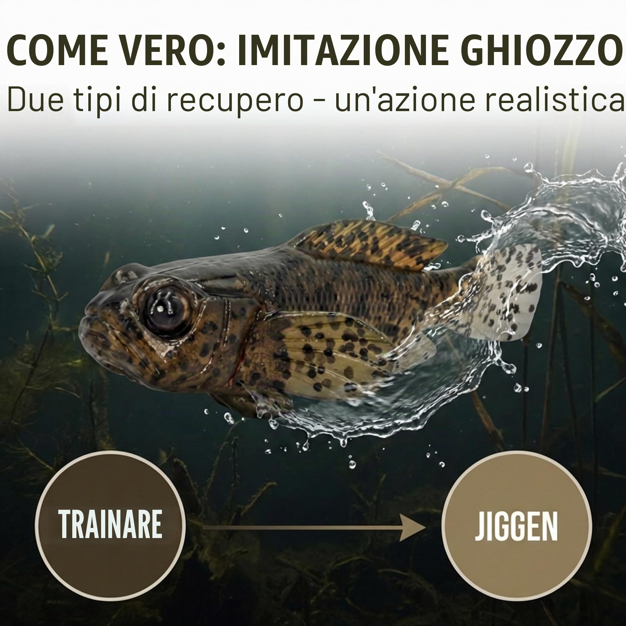 FISHN Set di 5 pesci di gomma GOBYONE 7,6 cm 9 gr ultra realistici per la pesca di pesce persico e