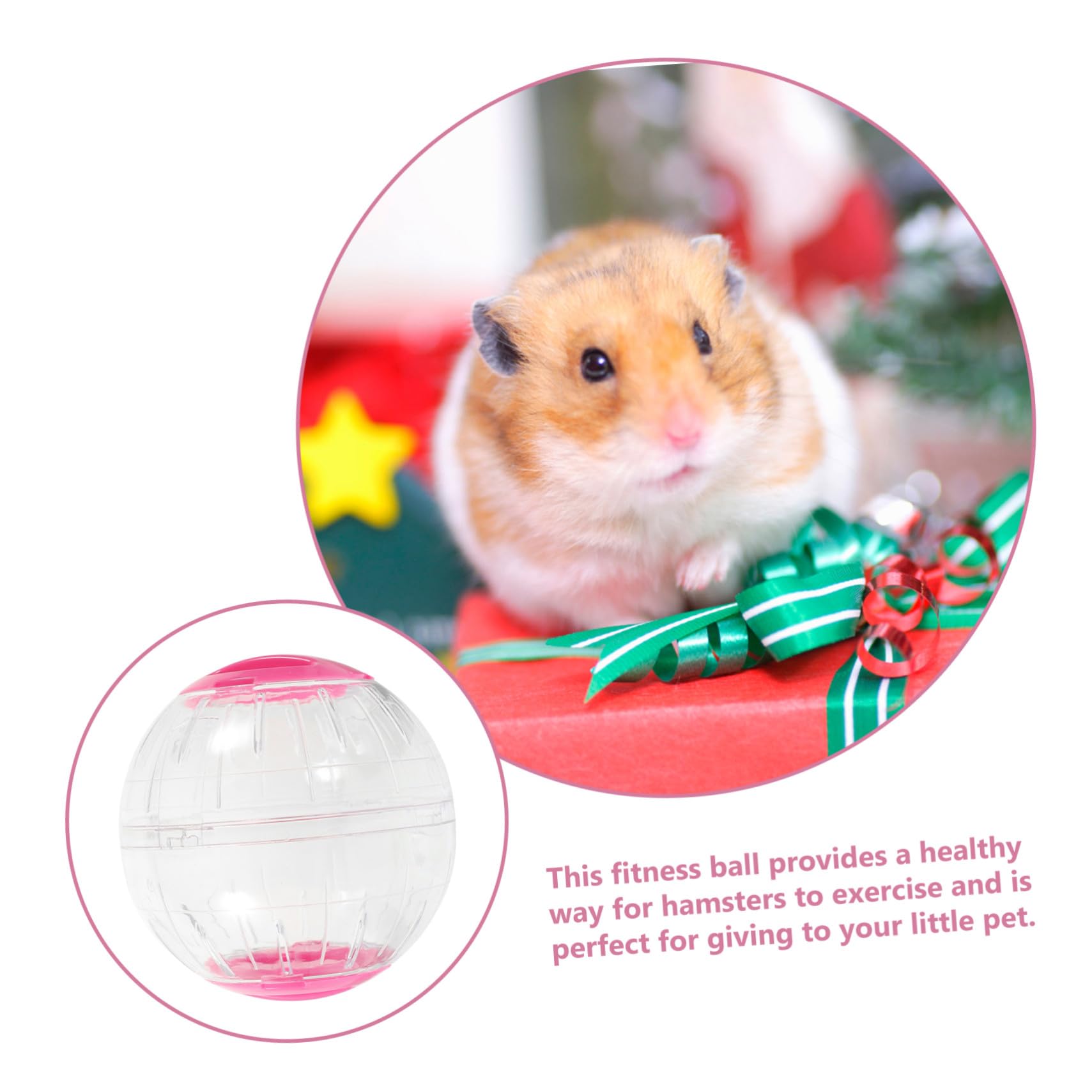 TOYANDONA 4 Piezas Pelotas de Ejercicio para Hámster Transparente y Silencioso Ruedas para Roedores y Animales Pequeños Accesorios Portátiles para Jaulas Fácil de Transportar y Supervisar