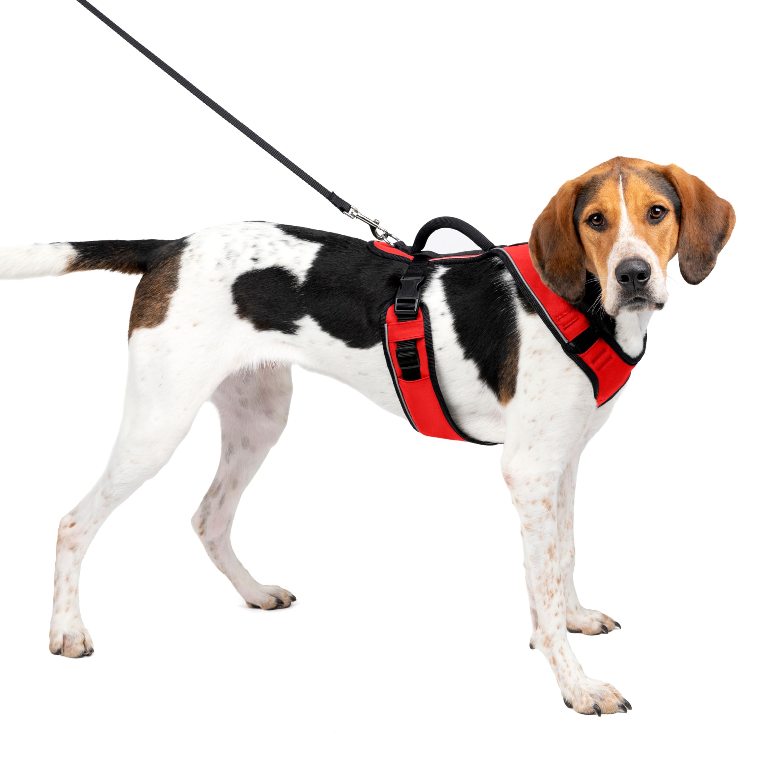 Petsafe Easy Sport Harness - Kırmızı Köpek Tasması Large (71-107 cm)
