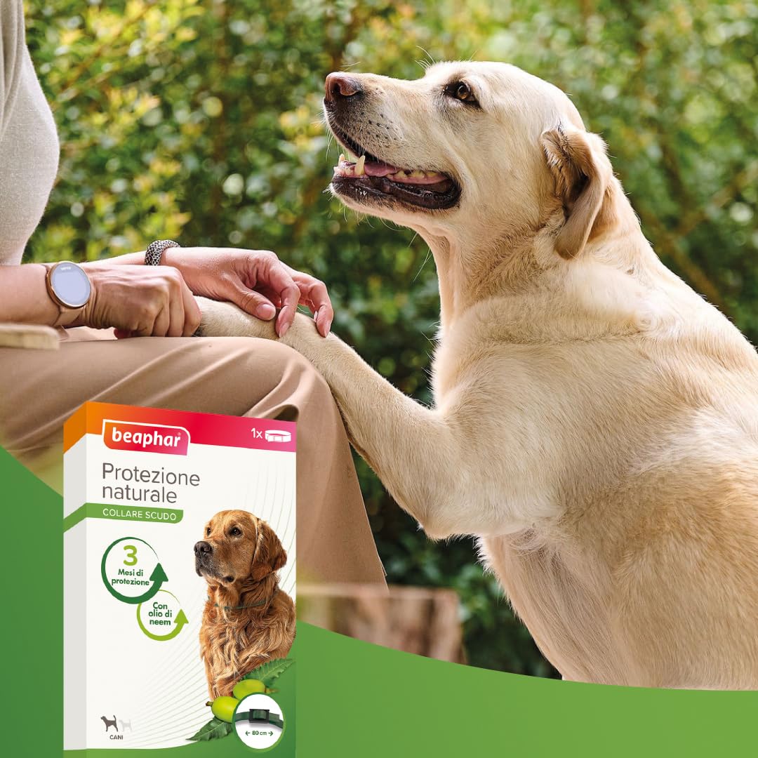 Beaphar Protezione Naturale, Collare Scudo Regolabile per Cane Grande, con Olio di Neem, Fino a 3 Mesi di Protezione, 80 cm