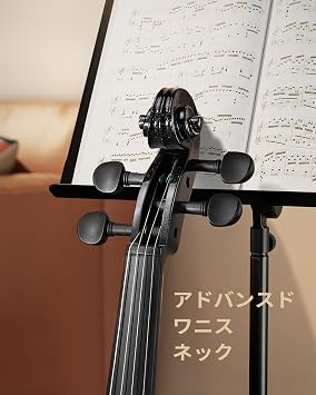 Eastar Violin 4/4 Solid Wood Violin Set with 2 Bows for Beginners and Advanced Players EVA-330 Black