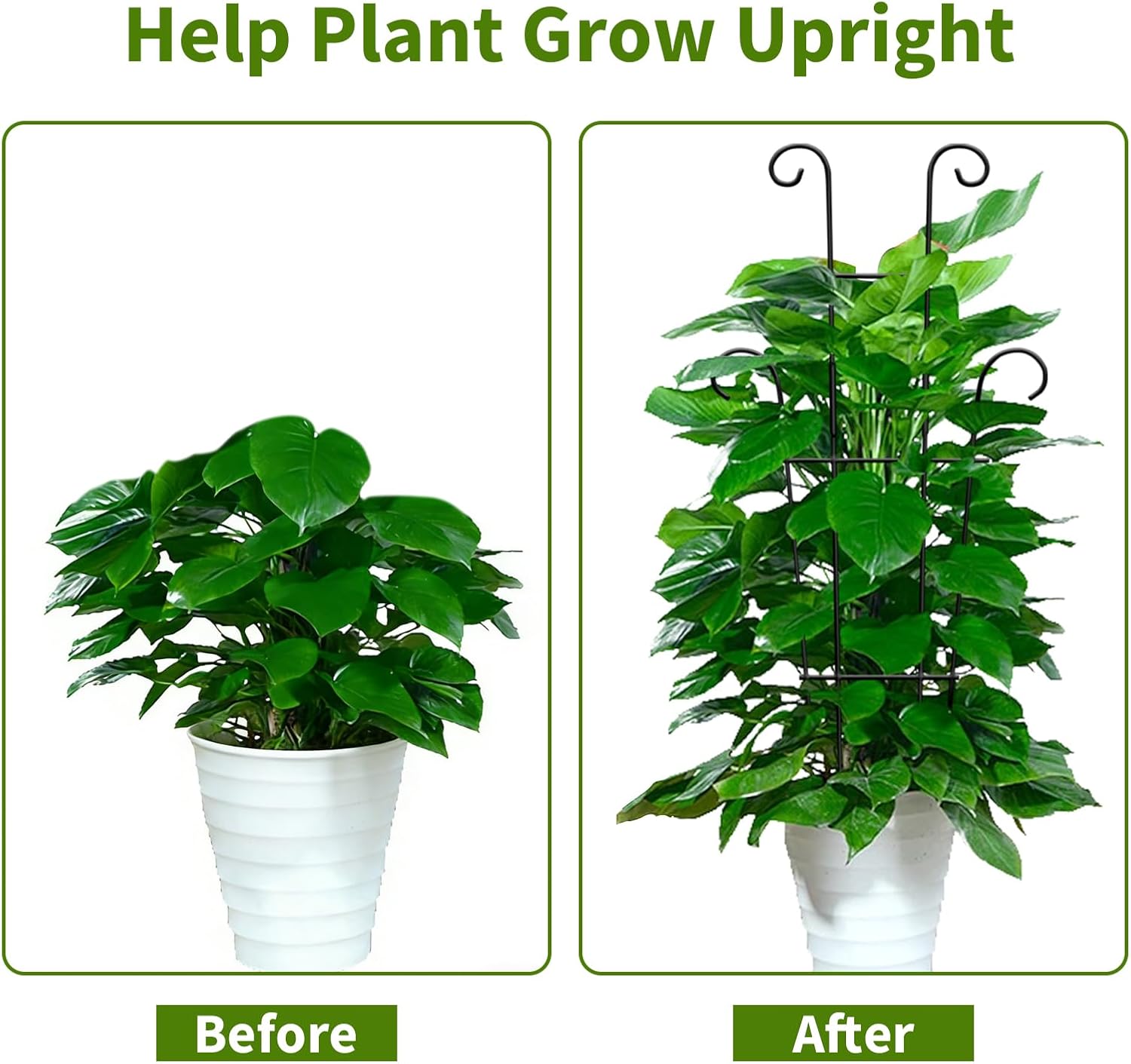 Garvee 8 Pack 23.6'' Plant Trellis for Climbing Plants Indoor, Plant Climber Support Indoor Outdoor, Rust-Resistant Sturdy Metal Trellis for Potted Plants Ivy Pothos Monstera Hoya Flower Vine