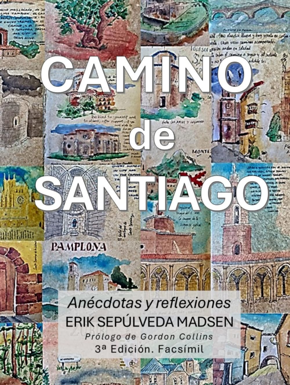 CAMINO DE SANTIAGO: Anécdotas y reflexiones
