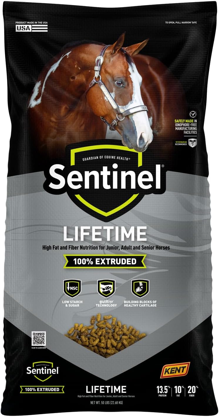 Blue Seal Sentinel Lifetime LT