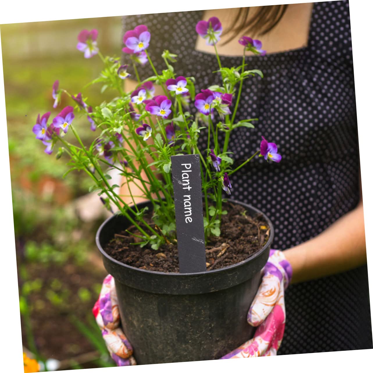 12 Etichette Per Piante Da Giardino Riutilizzabili Nomi Personalizzabili Su Ciotole Ardesia Per Vivai Esterni