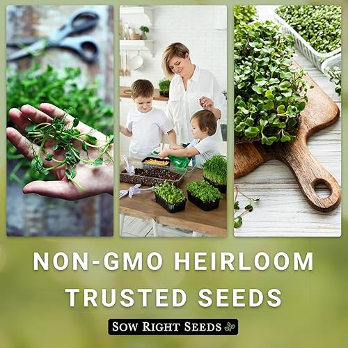 Miniatura 6 de Sow Right Seeds - Semilla de microverde de germinación de germinación de guisantes para el cultivo - Instrucciones para cultivar rápidamente tus