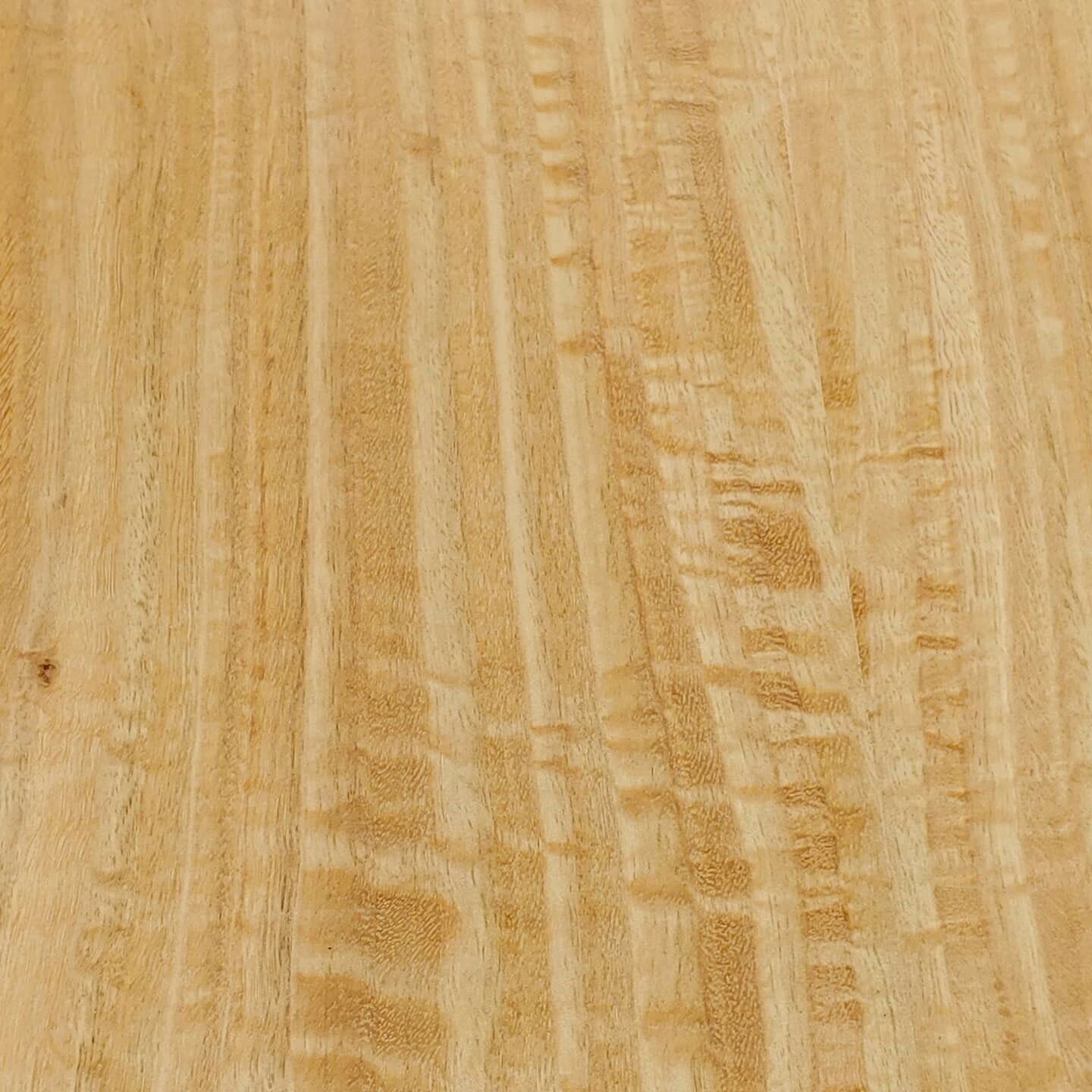 Eucalyptus Figured Australian Wood Veneer 24" x 24" on Wood Backer 1/25" Thick