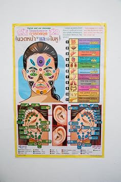 WitnyStore 3112" Thai Facial and Ear Massage Reflexology Points Poster Manual Therapy Technique Colored Illustrations Training Teaching Reference Laminated Premium Paper Print Thailand Souvenir Posters