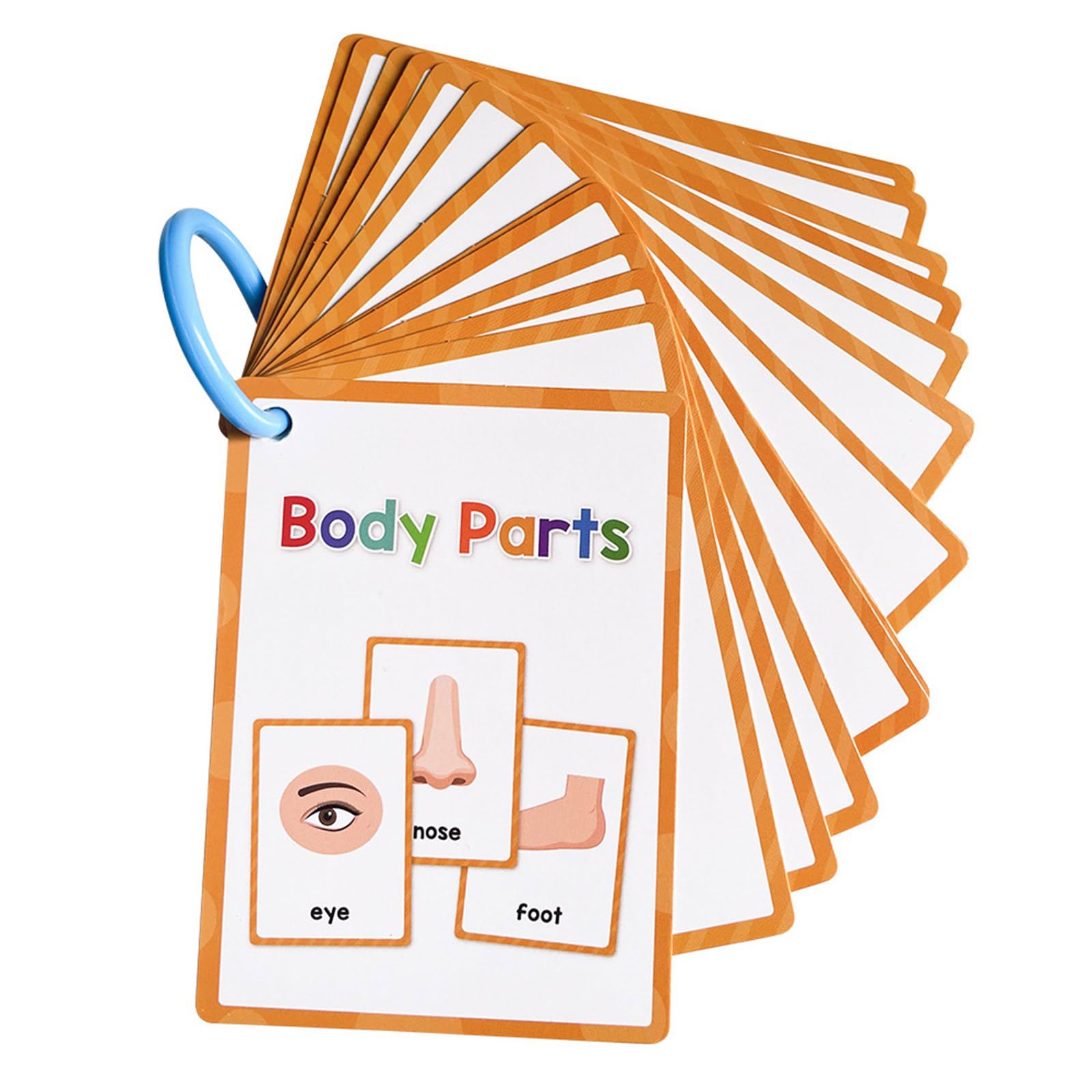 Xjdzineq Interactive Vocabulary Flashcards Toddler Early Learning Word Card 11cmx8cm Flashcards for Kindergarten Teachers English Cards for Toddler