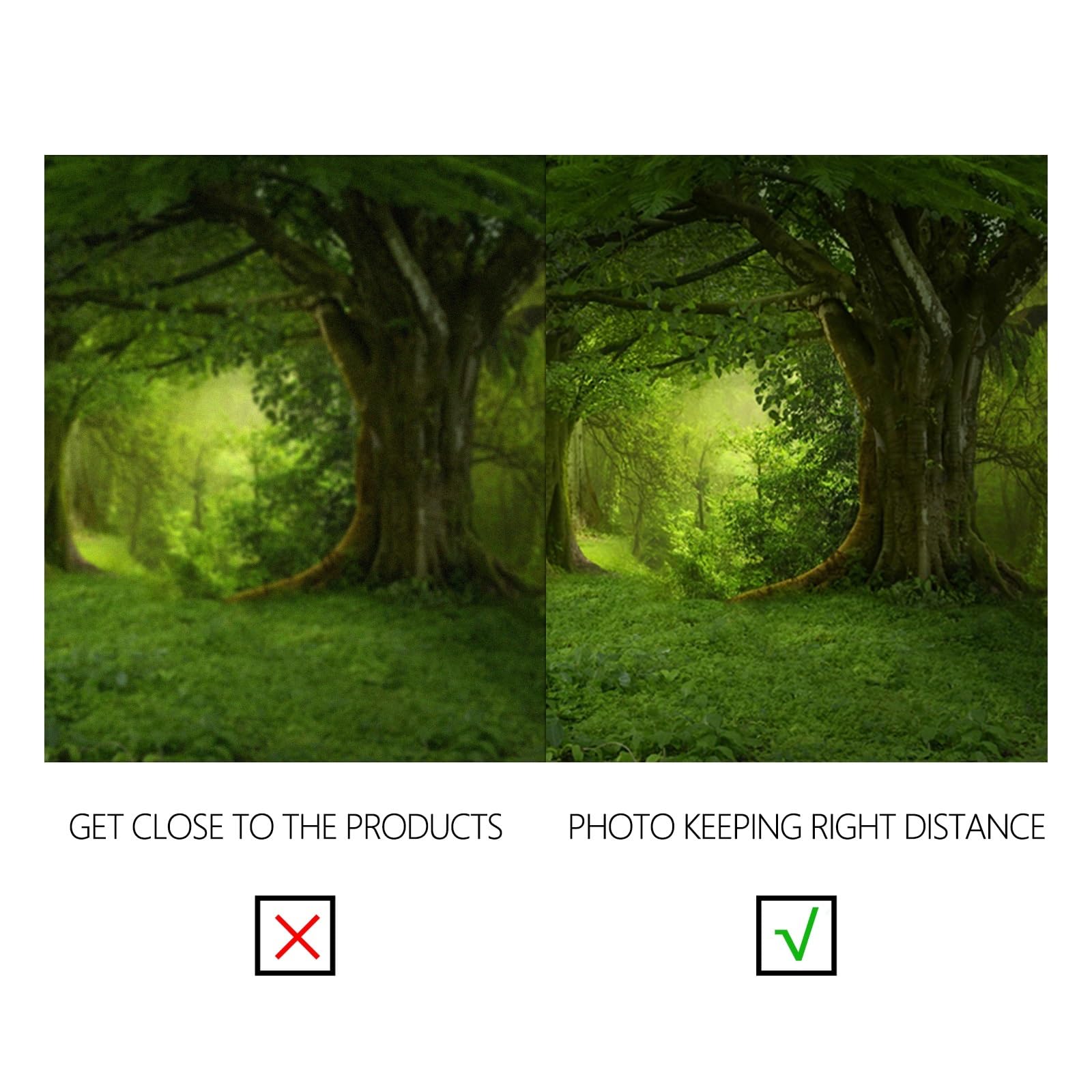 YongFoto 3x2,5m Vinyle Toile de Fond Fantaisie Forêt Jungles Green Old Trees Branches Herbe Nature Fond de Studio Photo Mariage photobooth Photographie Fond Accessoires Fond d'écran