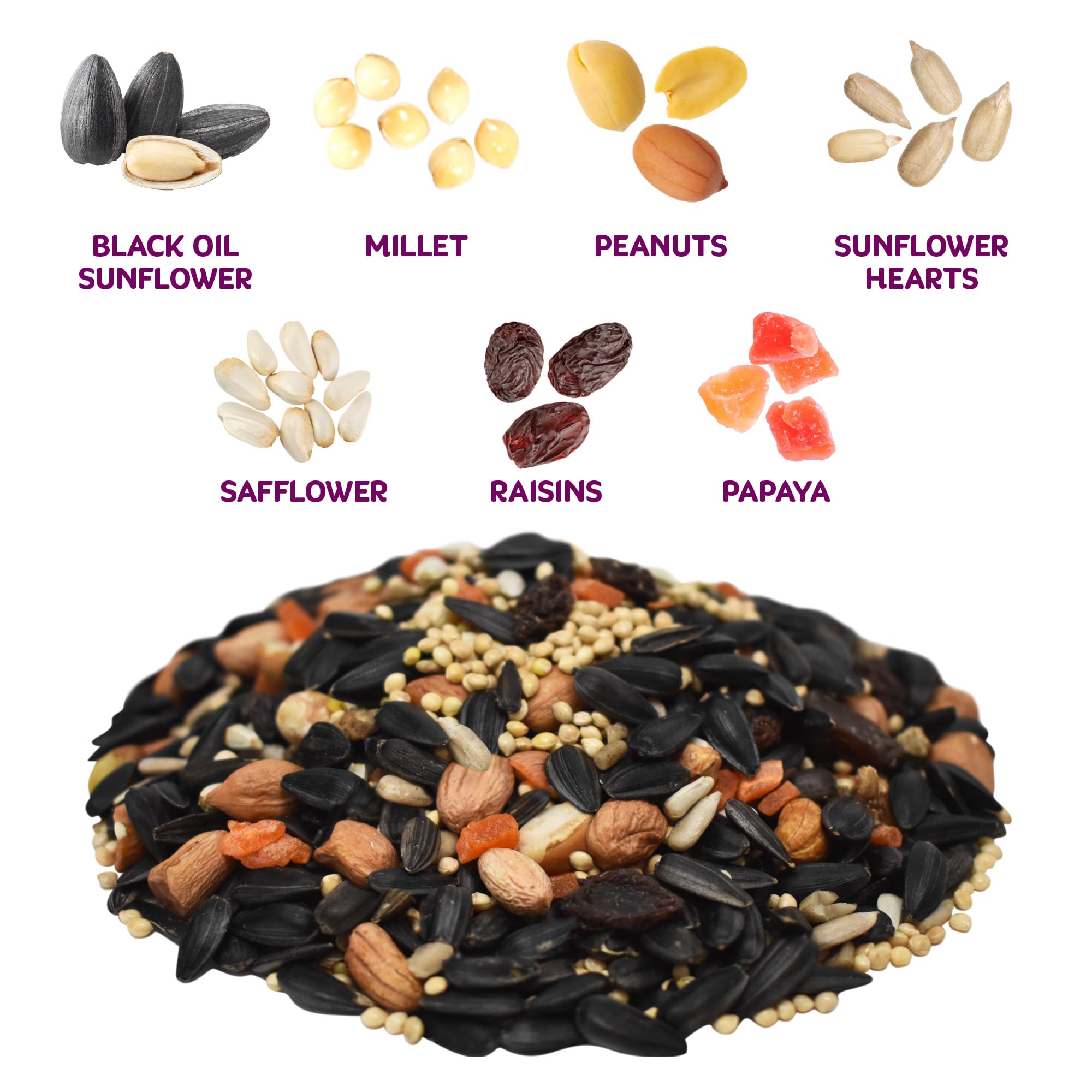 Audubon Park Nut & Fruit - Semilla de Aves Silvestres – 8 Libras Mezcla Premium con Semillas de Girasol, Cacahuetes, cártamo y Frutas secas - Alimento para pájaros para comederos Exteriores