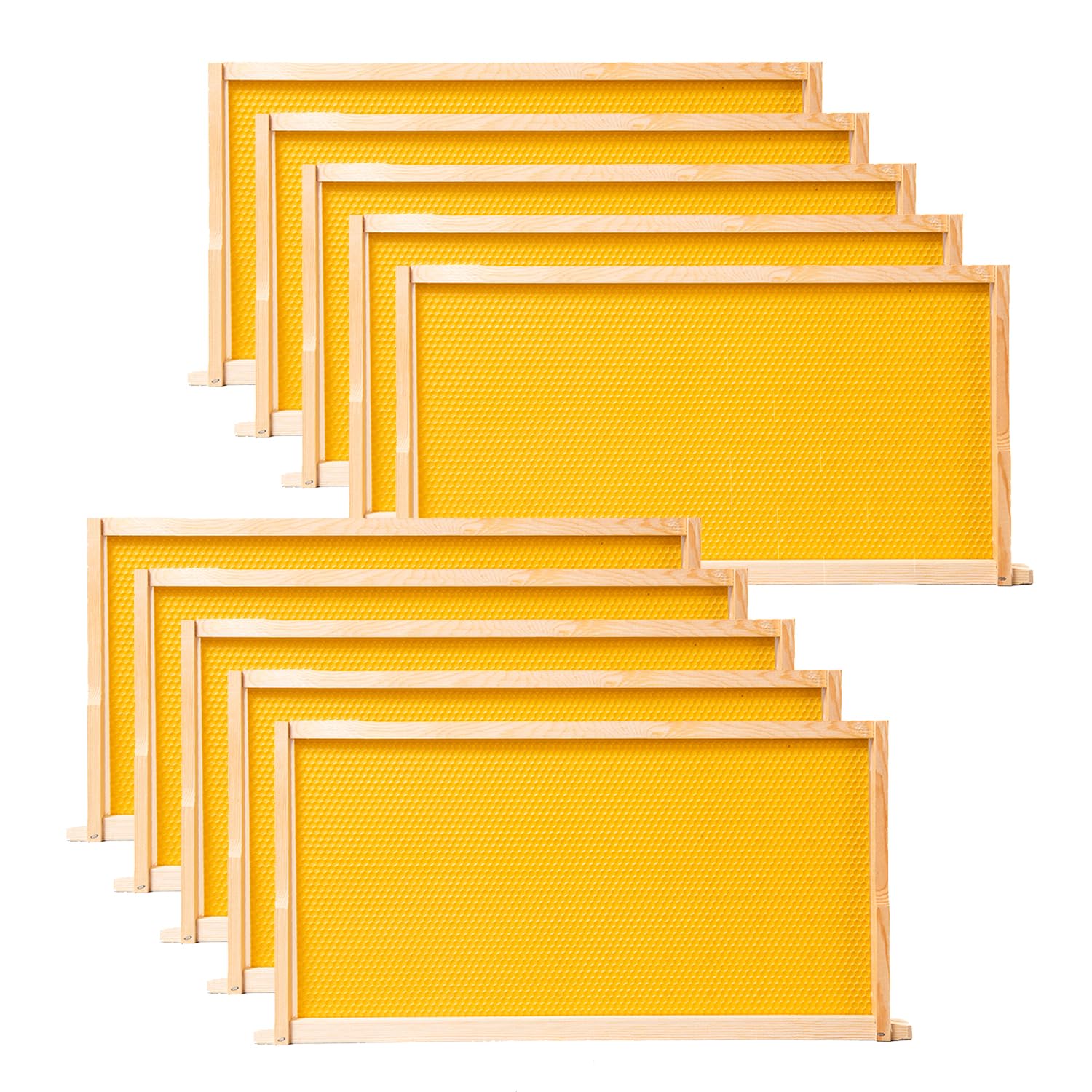 POLLIBEE 10 Pack Beehive Frames