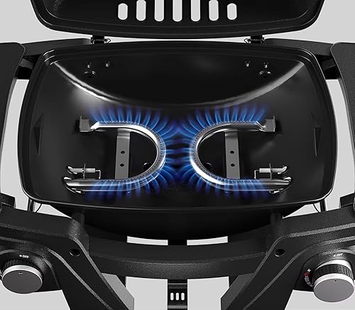 Miniatura 5 de Kukoofyer Parrilla de gas portátil de propano, parrilla de propano de mesa, 24,000 BTU Parrilla de barbacoa al aire libre Parrilla de camping con