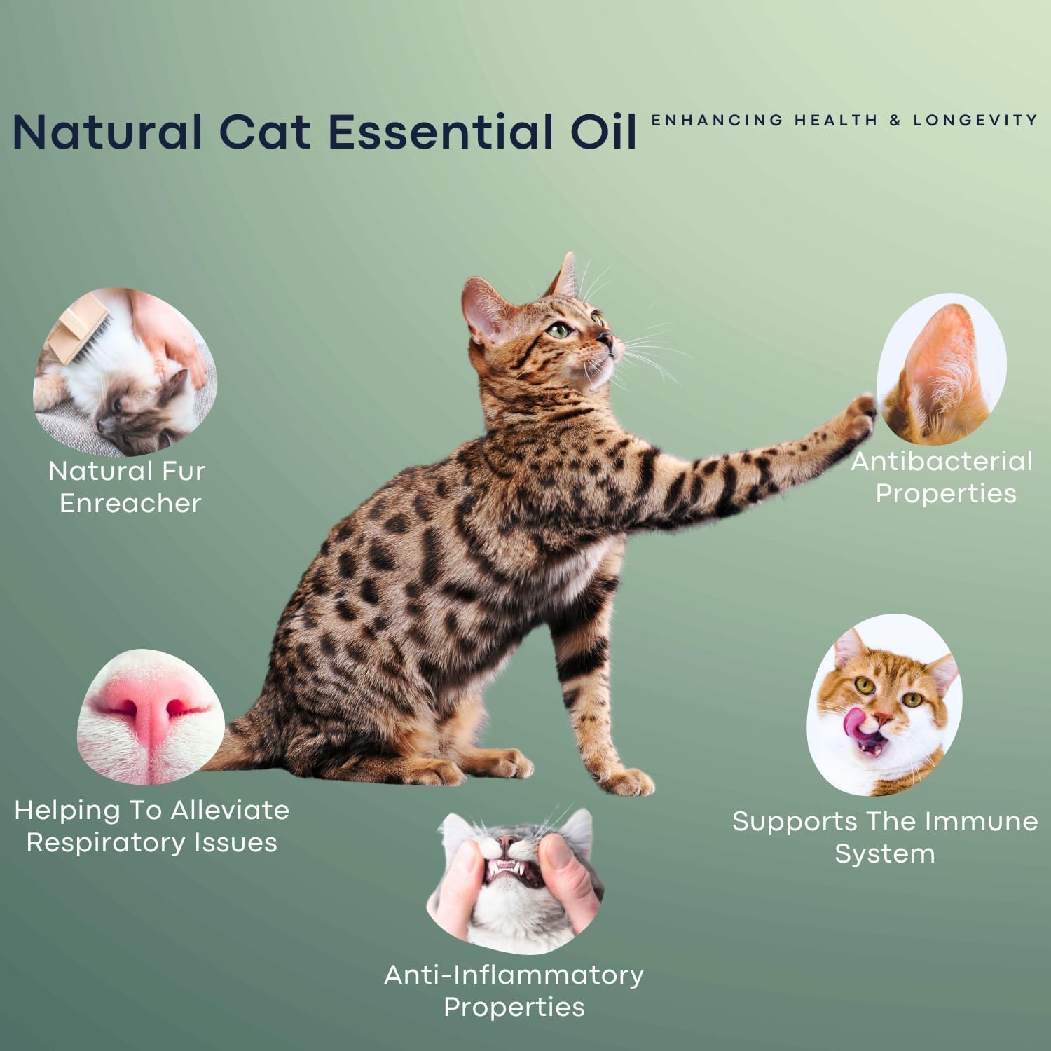 Cat Aggression Relief Calming Collar, Natural Anxiety Relief, Breakaway Vet-Approved Relaxer, Pet-Safe Collar with Essential Oils (Light Blue - Myrrh) - image 7