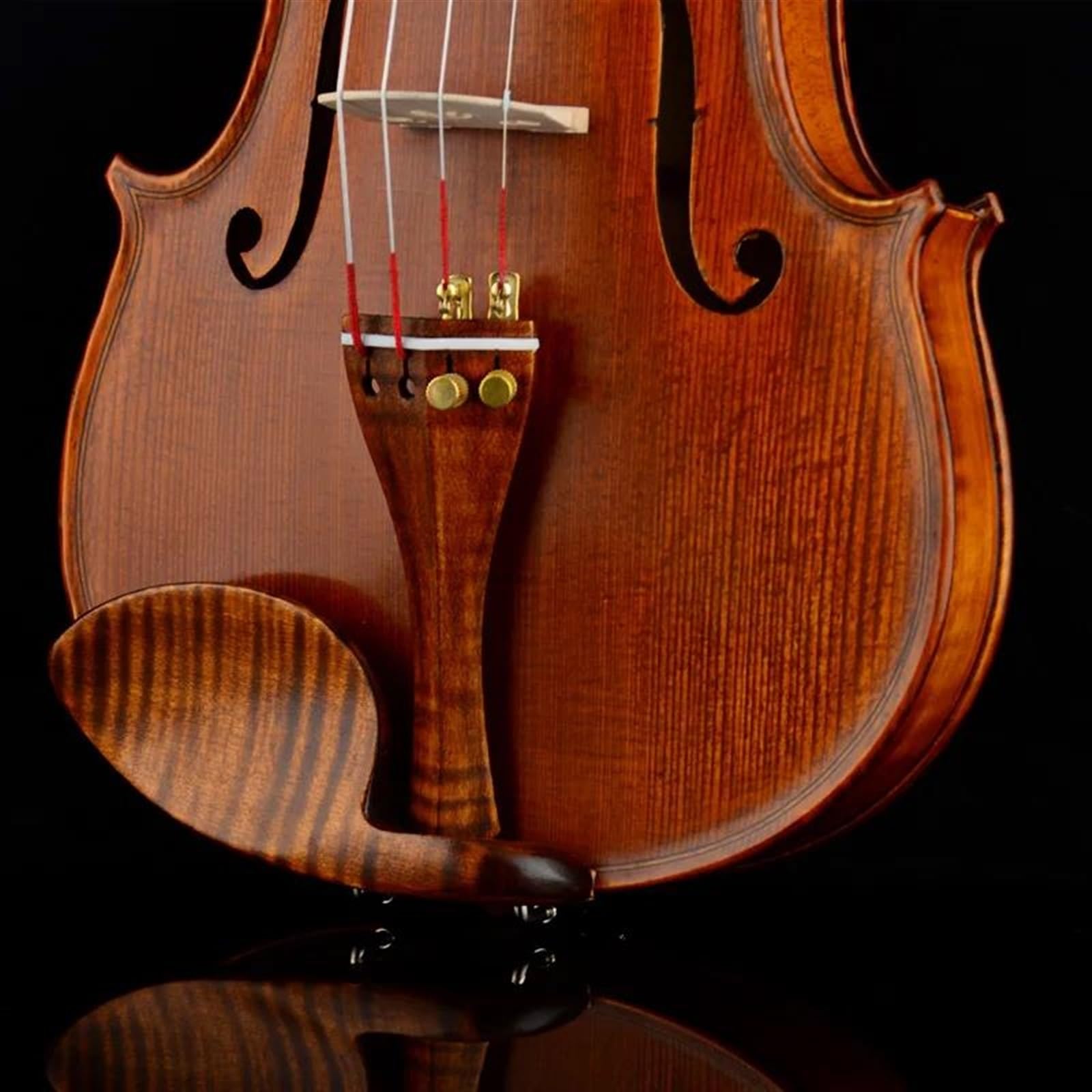 Professional Violin European Workshop Violin Series Tonewood Warm Brown Color Maple Accessories - Image 4