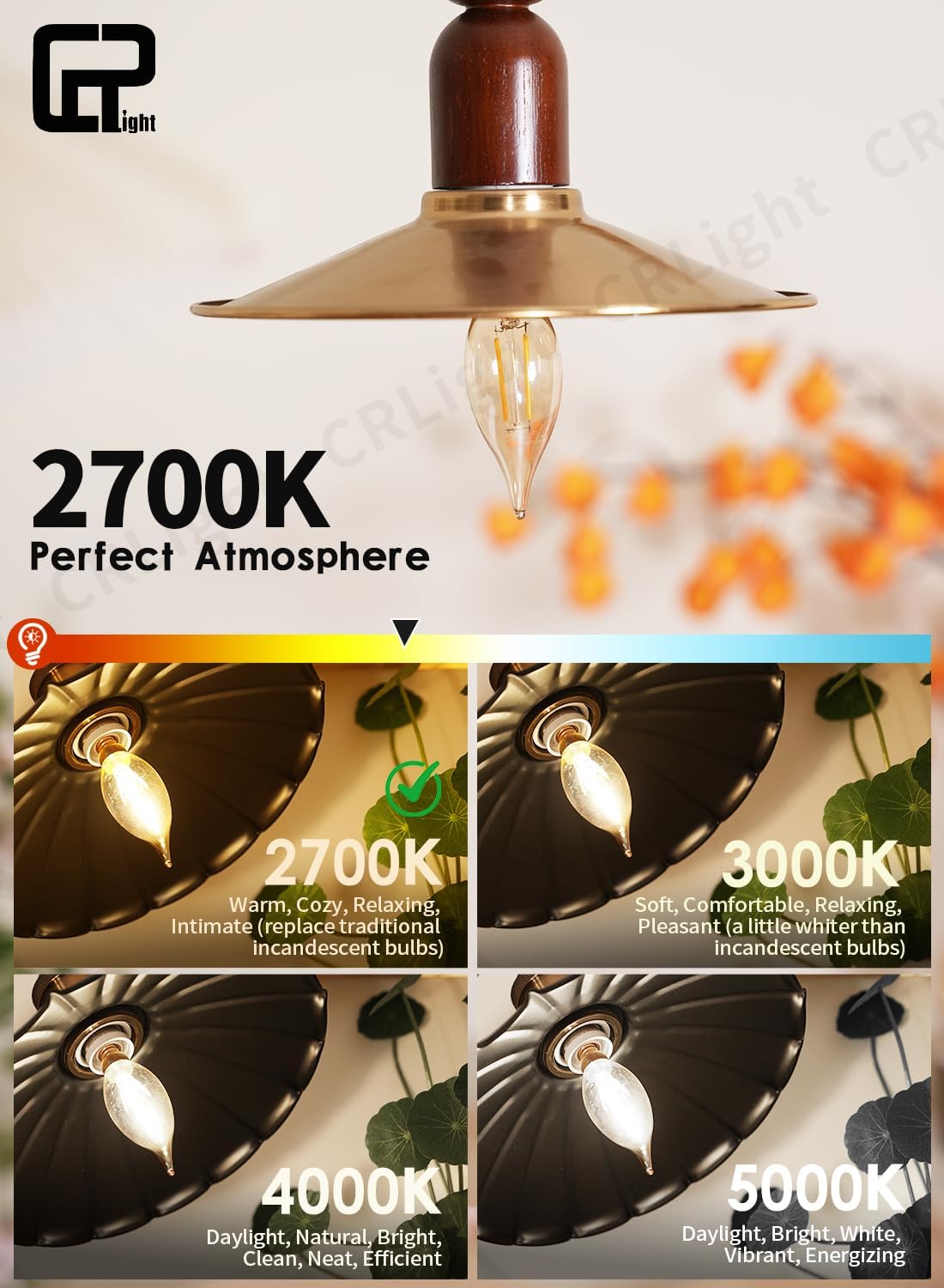 CRLight LED Candelabra Bulb 25W Equivalent 2700K Warm White, 2W LED Chandelier Light Filament Bulbs, E12 Base 250 LM Vintage Edison CA11 Amber Glass Candle Bulbs, Non-dimmable, 12 Pack
