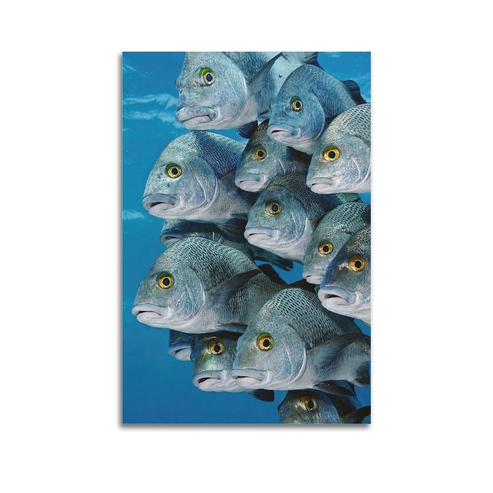 WPHSFX Animal Poster Fish Swarm Poster Decorative Painting Canvas Wall Posters And Art Picture Print Modern Family Bedroom Decor Posters 20x30inch(50x75cm)