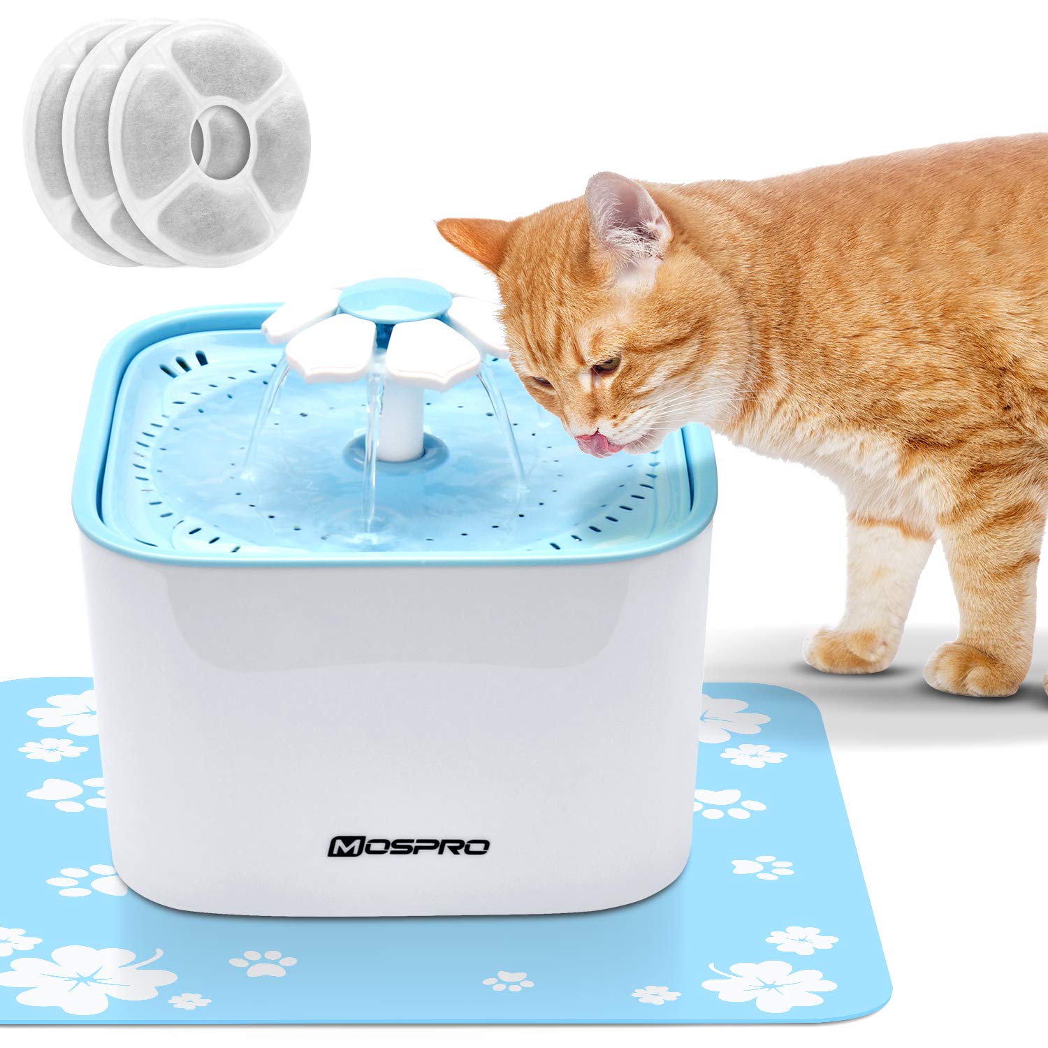 stray from the heart petfinder