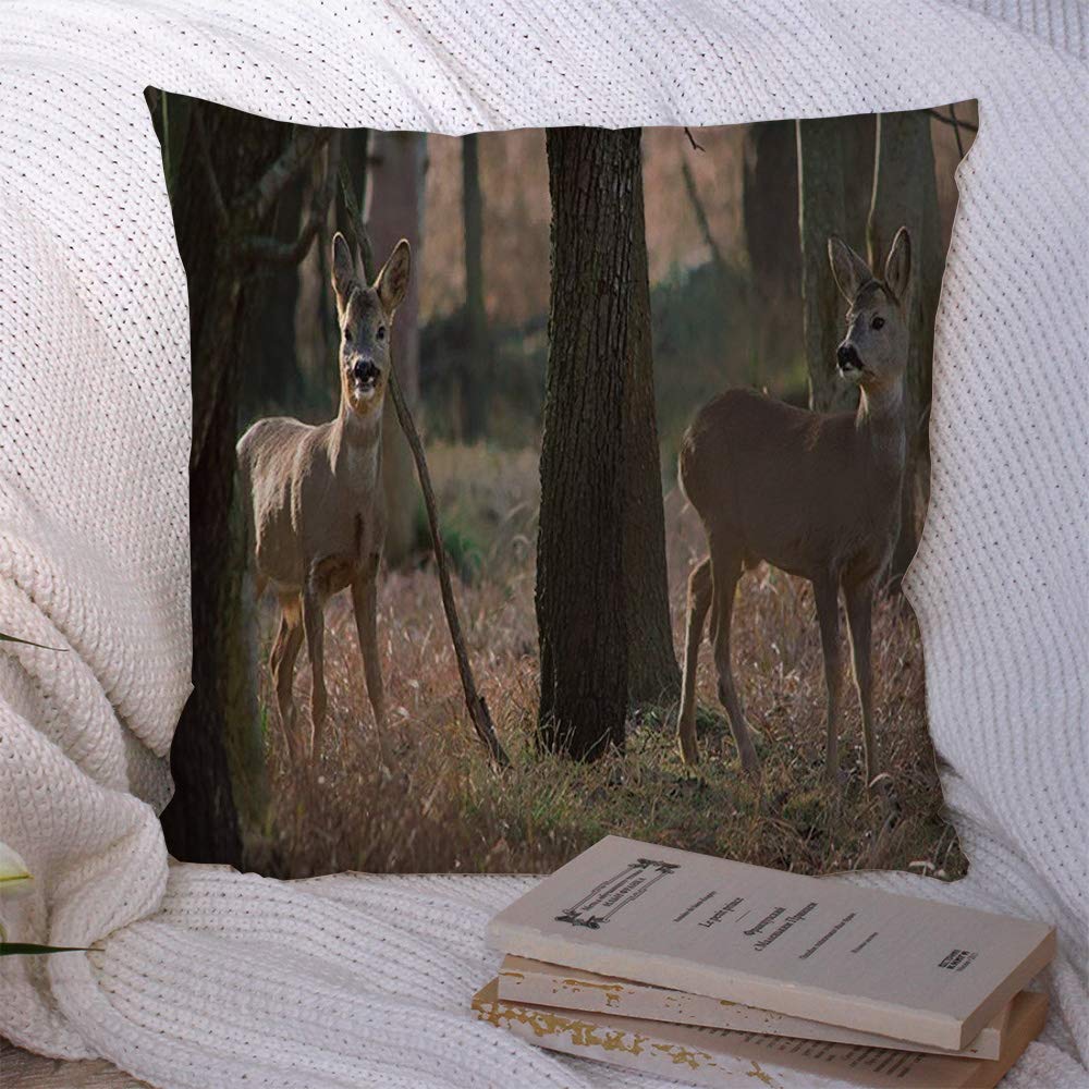 Decorative Throw Pillow Cover Polyester Fall Deer Roe Elk Autumn Antelope Forest Morning Antlers Fallow Design Park Trees Nature Farm Wild Cushion Case for Sofa Couch Living Room Bedroom 16x16 Inch