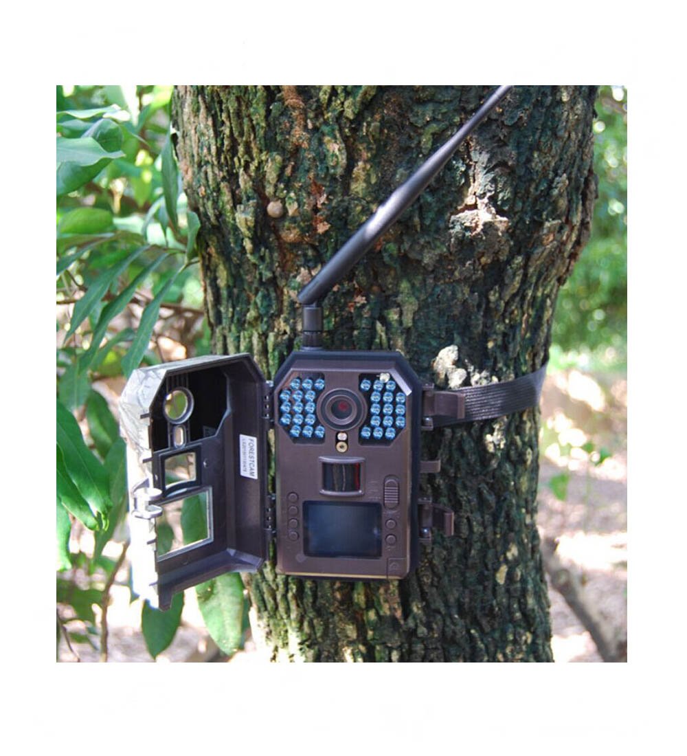 HD d'extérieur Chasse Trail Digital Caméra infrarouge Scoutisme infrarouge vidéo GPRS/GSM/MMS 5,1 cm TFT LCD écran 12 MP/8MP/5mp 1080p/720p/VGA PIR étanche IP66