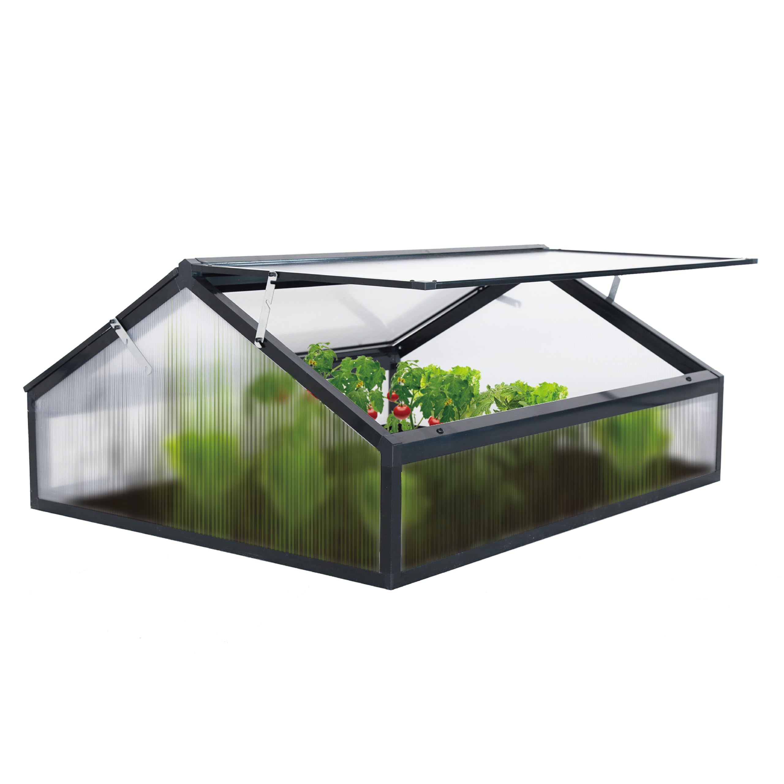 Mini serre en aluminium - Translucide - Pour tomates et plantes - 117 x 97 x 53 cm - Noir