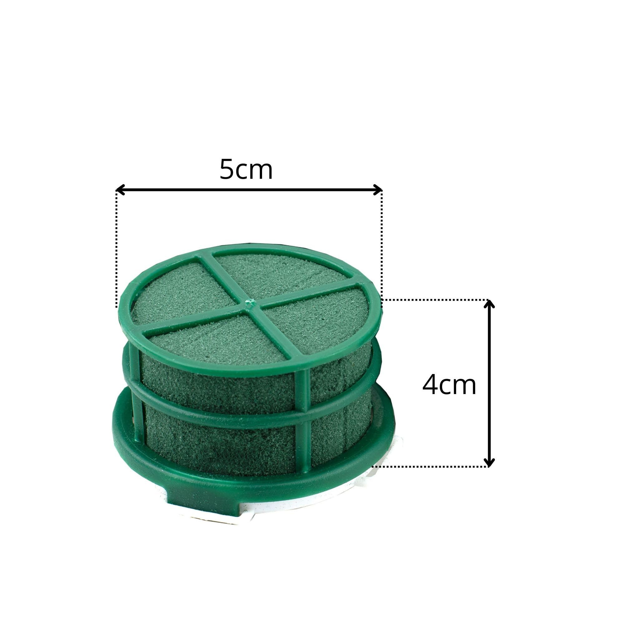 Schiuma bagnata, rotonda, 5 x 4 cm, autoadesiva, con griglia, 12 pezzi – per fioristi e hobbisti – Spugna per fiori freschi – Pasta per fiori – Accessori floreali & forniture floreali verde