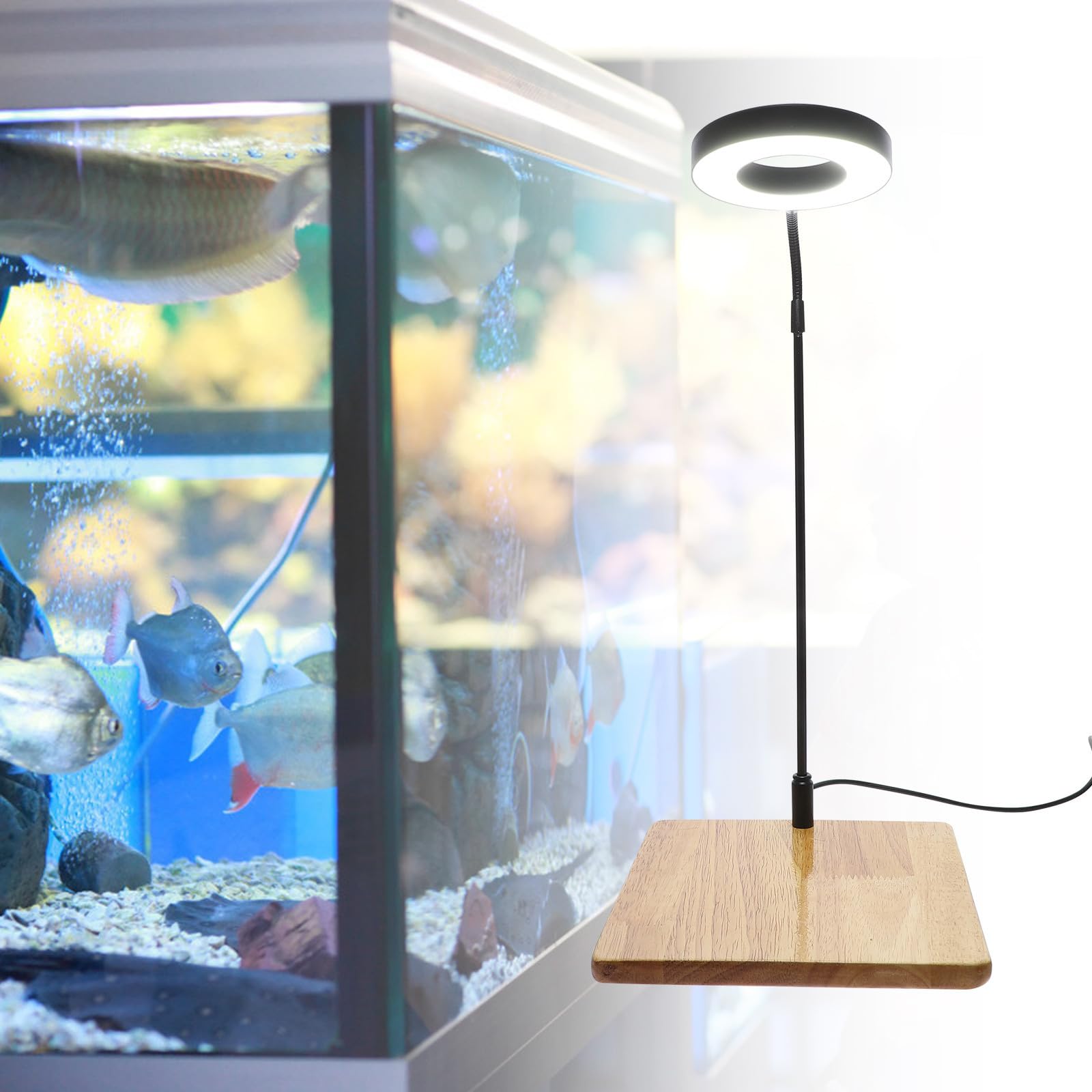 ifundom Lámpara LED para Pecera Luz de Alta Luminosidad y Baja Depreciación, Material de Aleación de Aluminio y Madera, Adecuado para Acuarios y Plantas en Maceta